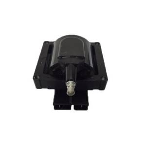 DTS - New Ignition Coil for Ford, Mazda, Ford Truck Bronco - DG-325