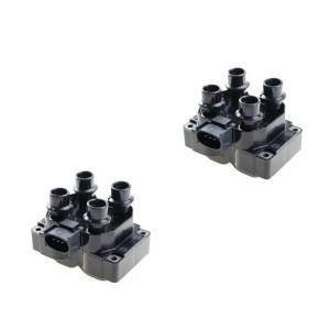 DTS - Set of 2 Ignition Coil for Mazda  Ford Lincoln Mercury Festiva  98 2001 - 40-005